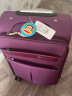 大嘴猴（Paul Frank）牛津布拉杆箱女帆布行李箱男轻音万向轮旅行大容量布箱防刮密码箱 紫色/升级版 20英寸 实拍图