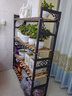 金羡花架子阳台实木花盆架客厅落地多层家用绿萝多肉带轮子花架置物架 四层长120宽30高145黑架+碳烤木 实拍图