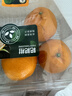 春见耙耙柑5-6粒820g 实拍图