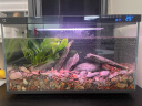 小米米家智能鱼缸客厅小型造景生态家用背景超白玻璃桌面循环自动喂食 【智能喂食】小米智能鱼缸 晒单实拍图