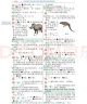 现代汉语词典 小学生多功能词典 2020年新版中小学生专用辞书工具书字典词典 晒单实拍图
