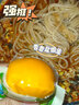贤哥卤蛋盐焗鸡蛋即食小吃学生早餐办公室休闲零食虎皮辣铁蛋食品 山椒鸡蛋900g/30颗【塑料盒装】 实拍图
