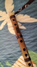 名森（Minsine）苦竹精制笛子竹笛C调 零基础初学入门横笛民族吹奏乐器D18 实拍图