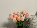 黛莉森手感郁金香仿真花假花高档手捧花束摆设客厅茶几餐桌花装饰品摆件 香槟粉6枝 实拍图