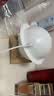 瑜品佳 加湿器迷你【三色星球灯】卧室小型车载桌面加湿器家用轻音孕妇办公室香薰净化器情人节生日礼物 插电版-星球加湿器【精美木架+棉棒】 实拍图