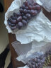 果真秀贵州茉莉香葡萄无籽红提新鲜5斤装葡萄水果脆甜孕妇整箱 1斤 尝鲜装 实拍图