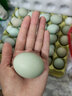 我老家新鲜绿壳乌鸡蛋 谷饲喂养 农场直供 50枚 1900g 实拍图