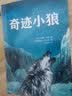 奇迹小狼儿童课外阅读勇气责任与爱的故事全插图真实还原小狼迁徙的生命奇迹英国水石儿童图书奖提名适合8-14岁小学生的课外读物暑期阅读；水石奖提名必读生命的故事开学季 实拍图
