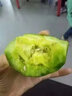 财莱乐绿宝石小香瓜绿宝甜瓜水果新鲜5斤当季时令脆瓜山东10 净重5斤中果（9-12个果） 实拍图
