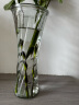 极度空间 玻璃花瓶北欧富贵竹康乃馨玫瑰插花花瓶玻璃插花器酒店装饰摆件 实拍图