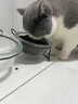 朗吉小野俪香全期猫粮金枪鱼多种营养英短折耳猫幼猫成猫通用型全价 全期猫粮200G 实拍图