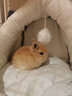 憨憨宠 猫窝 冬季封闭式狗窝小型犬猫床猫舍猫睡袋猫咪宠物用品 小恐龙小号【8斤猫咪6斤狗狗】 实拍图