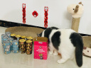 顽皮Happy100猫零食鸡肉三文鱼鲜封包840g(70g*12袋)猫湿粮 实拍图