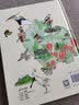 深圳观鸟地图：观鸟入门书/中小学课外兴趣读物/亲子读物  实拍图