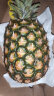 佳农 菲律宾菠萝 2个装 单果重900g起 新鲜水果 实拍图