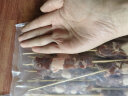 草原宏宝 【烧烤季】国产原切 内蒙羔羊肉串净重500g/袋(4瘦1肥,20串) 晒单实拍图