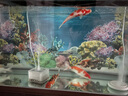 金利佳（Jeneca） 鱼缸专用背景纸水族箱高清背景画龟缸背景图饲养缸贴纸壁纸壁画  50高152长（浏览详情选款式） 实拍图