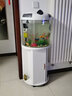 闽江（minjiang）半圆形鱼缸水族箱圆柱型金鱼缸客厅生态造景免换水锦鲤乌龟缸 纯白色+礼包+造景+升级过滤 BY460（鱼缸+储物柜子） 实拍图