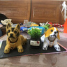 汽车摆件车载仿真摇头狗可爱卡通名犬公仔摆台汽车内装饰品小狗车饰车内饰品高档车载装饰用品中控台网红 牧羊犬比格配黑色吉祥果 实拍图
