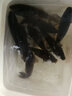 史蒂夫（steve） 史蒂夫先锋鱼竿高碳素28调台钓竿 超轻超硬鲫鱼竿鲤鱼竿小综合竿 4.5m 竞技版28偏19送礼包 实拍图