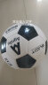 得力（deli）5号球足球青少年成人比赛训练标准PVC机缝耐磨 气筒赠完即止F1203 实拍图