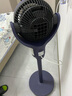 扬子（YANGZI）电风扇空气循环扇智能遥控风扇家用卧室客厅大风量落地扇台扇两用低音摇头净化循环扇 深海蓝语音款【8字摇头+语音控制】 空气循环扇 实拍图
