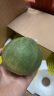 锁季山东头茬绿宝甜瓜水果新鲜绿宝石小香瓜当季时令脆瓜应季整箱现摘 5斤（净重4.5-4.8斤） 晒单实拍图