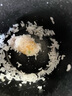 志高（CHIGO）电饭煲迷你一人食电饭煲宿舍情侣款低功率家用小电饭锅 1-2人煮饭锅 (适用1-2人)- 1.2L 雾黑 实拍图