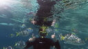 WATERTIME/水川 潜水镜面罩浮潜装备成人全干式呼吸管套装浮潜三宝 实拍图