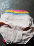 岚瑞薇内裤女【5条装】纯棉底档清新小雏菊中腰女士内裤舒适透气三角裤 小雏菊5条装 L （95斤~115斤） 实拍图