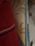 昕科 电加热坐垫办公室椅垫暖身毯电暖发热座椅垫电热坐垫法国绒粉 实拍图