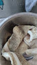 灵澈清真原切金钱肚整个新鲜冷冻火锅食材牛肚商用蜂窝肚生牛肚 2斤(生鲜牛大肚) 金钱肚 实拍图