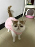 阿莫尔猫咪裙子夏季薄款猫咪衣服可爱粉色南瓜裙布偶蓝猫宠物狗狗公主裙 粉色 L 建议8-10斤  背长30cm 实拍图