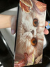 完美日记（PERFECT DIARY）探险家十二色动物眼影盘猫咪小猪百搭生日礼物送女友 【HOT】猫咪(大地色盘) 实拍图
