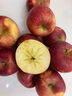 2025新果正宗大凉山丑苹果冰糖心盐源红富士当季孕妇新鲜水果生鲜 5斤 【中大果】75-80mm 实拍图