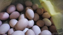 荆品名门鸡蛋 新鲜鸡蛋 正宗散养土鸡蛋 生鸡蛋 12枚 480g 晒单实拍图