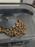 辛鹿/sinloy 蓝山风味拼配 香醇浓郁均衡 阿拉比卡美式咖啡豆 500g 实拍图