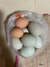 我老家鲜谷物喂养新鲜散养绿壳蛋乌鸡蛋 50枚装 实拍图