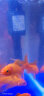 SICCE鱼缸懒人鱼缸家用客厅办公室金鱼缸中小型玻璃鱼缸过滤鱼缸 T-240F（240*165*280） 晒单实拍图