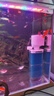 京业JINGYE 鱼缸多功能过滤器JY-6400F款20W 过滤器增氧过滤吸便抽水 实拍图