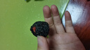 五珍黑芝麻丸核桃桑葚枸杞红枣黑芝麻丸黑芝麻无糖精即食休闲零食 五珍黑芝麻丸100个 500g 实拍图