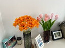 黛莉森手感郁金香仿真花假花高档手捧花束摆设客厅茶几餐桌花装饰品摆件 淡粉6枝 实拍图