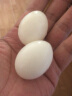 均鲜新鲜鸽子蛋杂粮喂养农家特产白鸽蛋信鸽蛋孕妇宝宝儿童食品土鸽蛋 60枚鲜鸽蛋 晒单实拍图