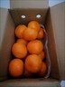 广西武鸣沃柑2025橘子新鲜水果当季一级沙糖蜜橘砂糖柑橘大果 中果(单果径60-65mm) 净重4.5斤 实拍图