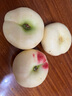 搜鲜匠（SOUXIANJIANG）新鲜水果蟠桃沂蒙山白蟠桃甜脆稀有蜜桃子黄扁桃1/3/5斤现摘现发 奶油白蟠桃3斤 实拍图