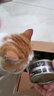 医仕高ad处方猫罐头母猫产后营养品绝育术后恢复补充膏怀孕猫咪流质下奶 [术后绝育]AD处方罐*12+补血 实拍图