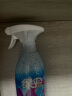 绿伞 GMC玻璃清洁剂800g 浴室清洁去污防尘防雾除垢剂 多用途清洁剂 玻璃水 实拍图