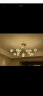 雷士（NVC）客厅灯分子灯北欧星光吊灯创意现代轻奢全屋套餐WHDD80F/G-01 晒单实拍图