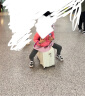 大嘴猴（Paul Frank）儿童行李箱可坐可骑小型密码男童女童可上飞机箱拉杆箱旅行箱皮箱 乳白色【跨坐承重120斤】轻音轮 20英寸 实拍图