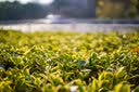 索尼(SONY) α A6400 A6300 A6600 a6000视频直播4K二手微单相机 A6000 单机（随机颜色） 99新 实拍图